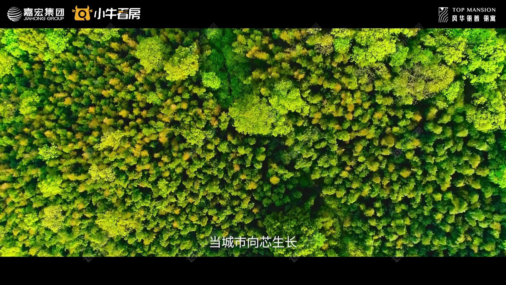 查看风华瓴著新房项目动态封面图