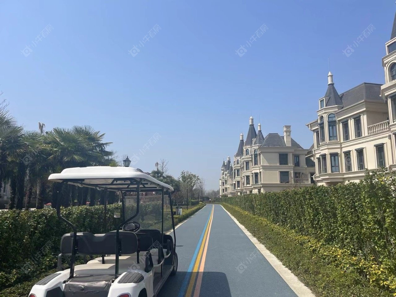 查看漫山花海（唐顿庄园）新房项目动态封面图