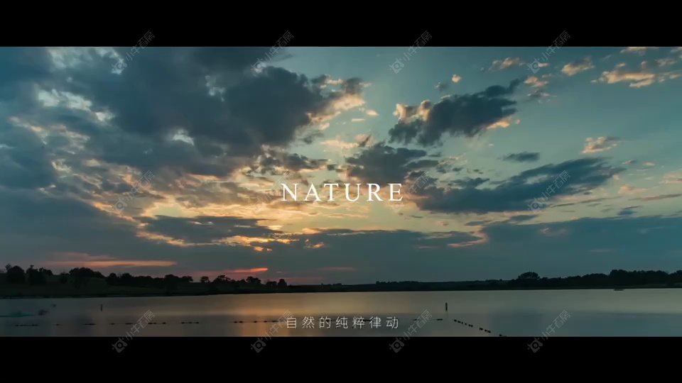 598b9b10-e2d0-44c6-80a7-286dd70a30a4.mp4